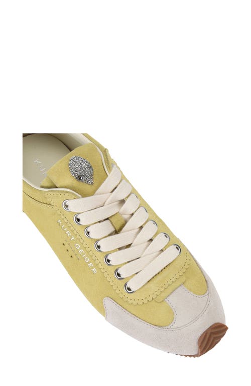Kurt Geiger Suede Islington Low-top Sneakers