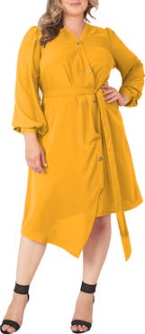 Standards & Practices Asymmetrical Long Sleeve Shirtdress