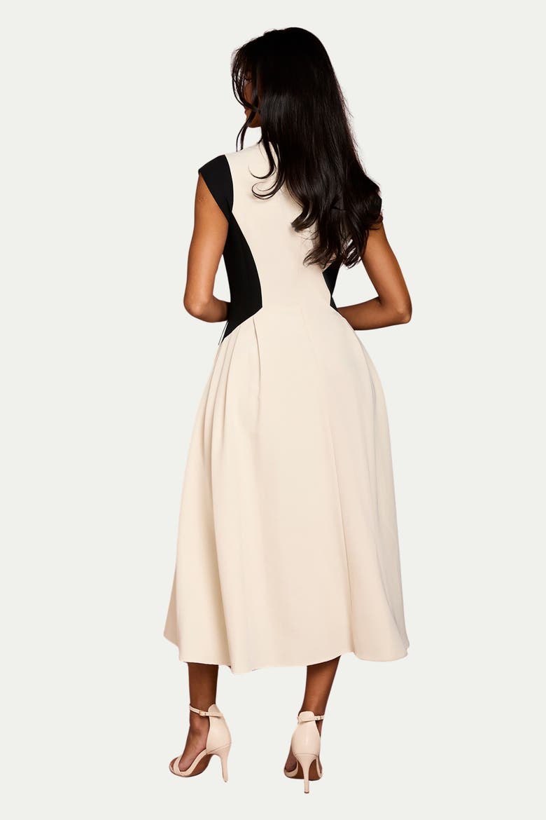 Petite Crepe Colour Block Midi Dress, Alternate, color, Mono