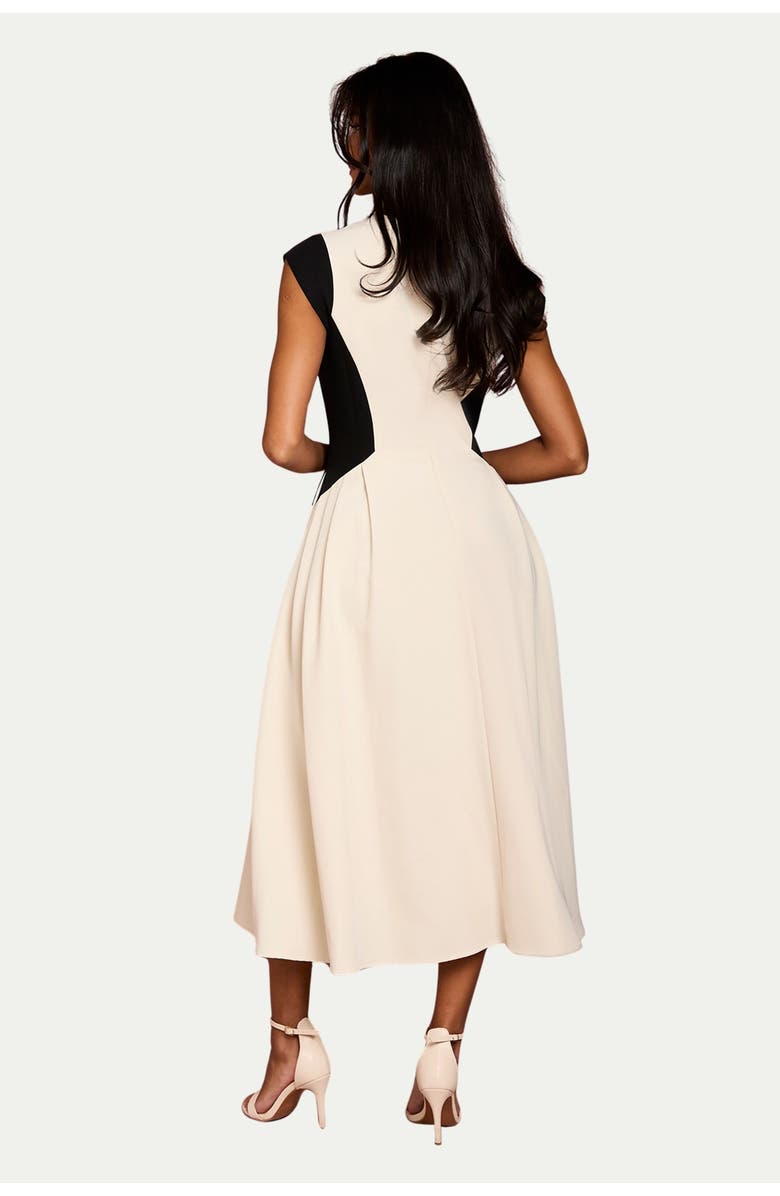 Coast Petite Crepe Colour Block Midi Dress, Alternate, color, Mono
