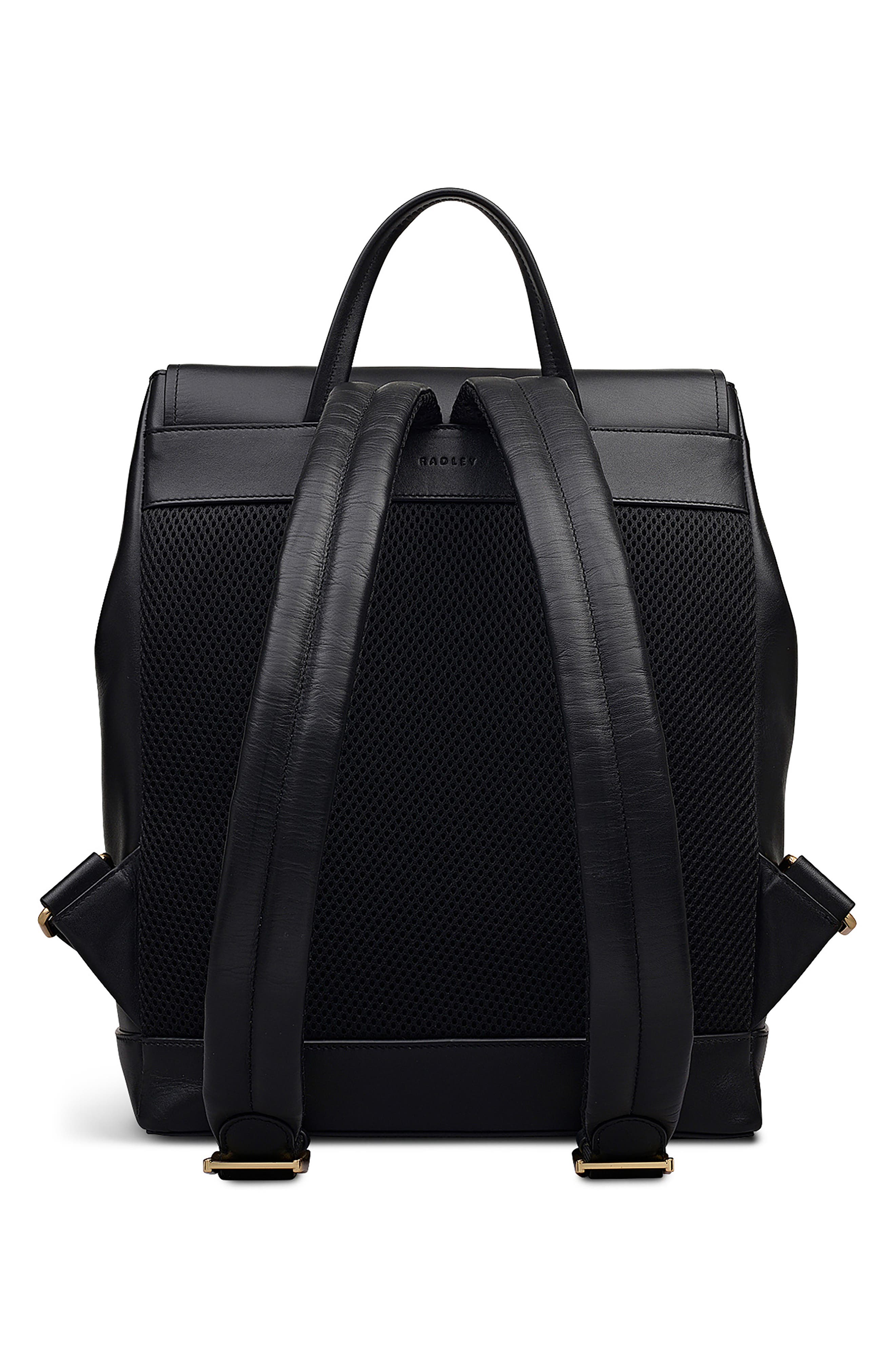 Radley Albion Street Leather Backpack, Alternate, color, Black