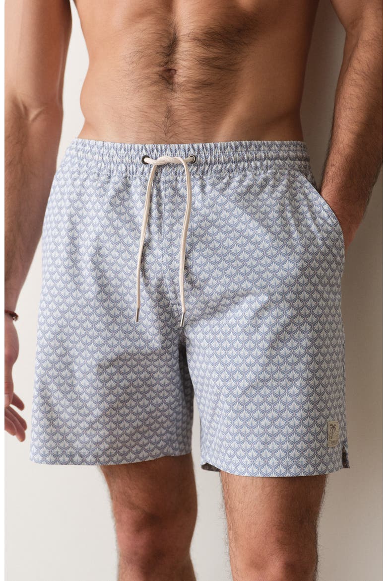 6-Inch Lined Sport & Swim Shorts, Alternate, color, LIGHT BLUE AGAVE PRINT