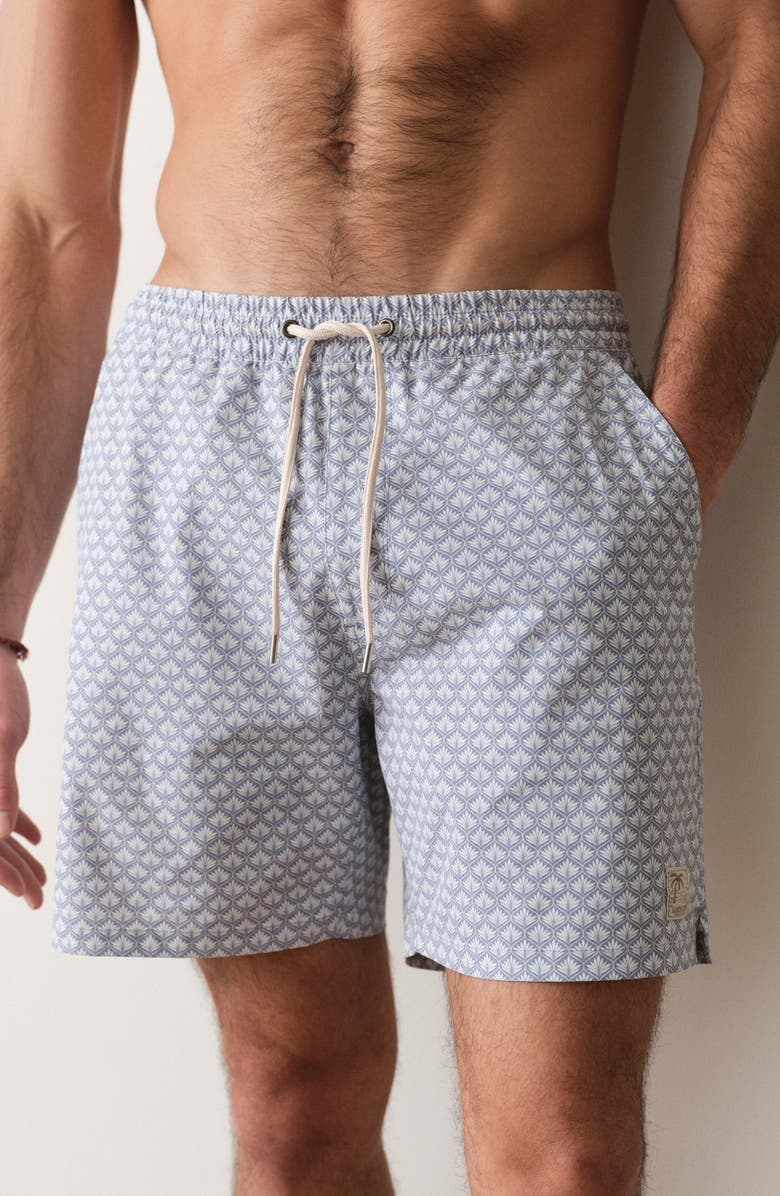 Marine Layer 6-Inch Lined Sport & Swim Shorts, Alternate, color, Light Blue Agave Print