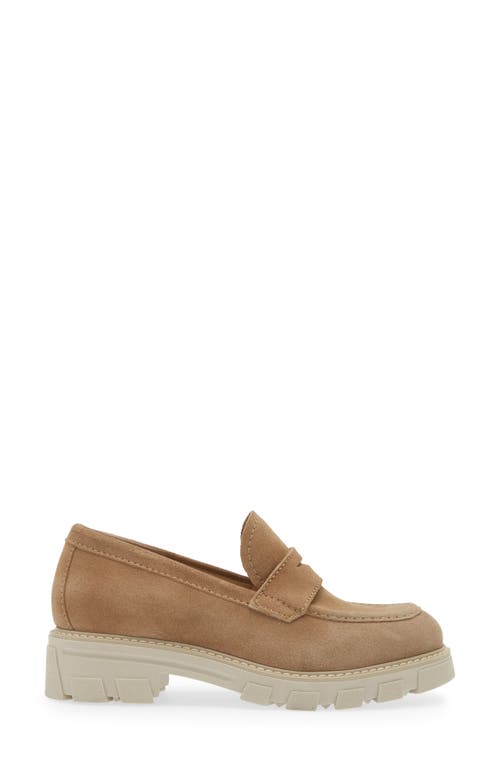 La Canadienne Daniel Waterproof Platform Penny Loafer In Biscotti Suede