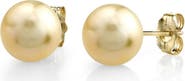 The Pearl Source Champagne Golden South Sea Round AAA Pearl Stud Earrings