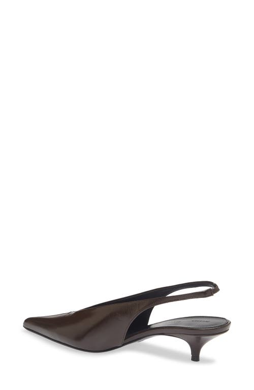 Proenza Schouler Slash Pointed Toe Slingback Pump In Brown