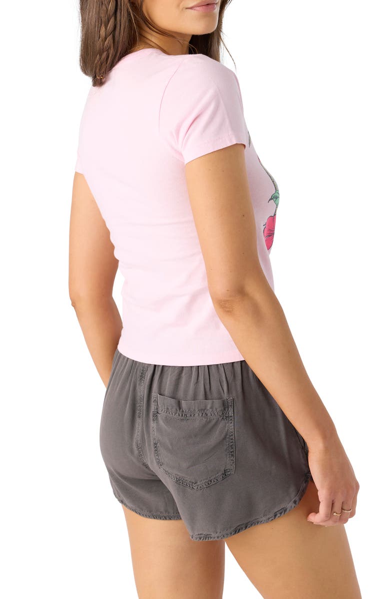 O'Neill At Dusk Embroidered Cotton Crop T-Shirt, Alternate, color, 