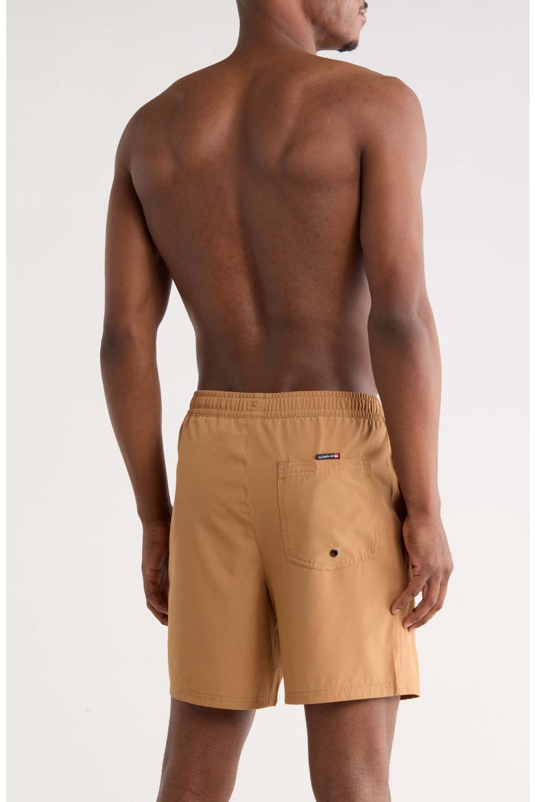 Wind Logo Volley Swim Trunks, Alternate, color, TOBACCO BROWN