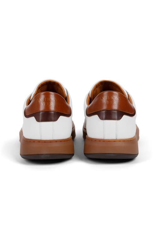 Anthony Veer Men's Paul Sneaker In White