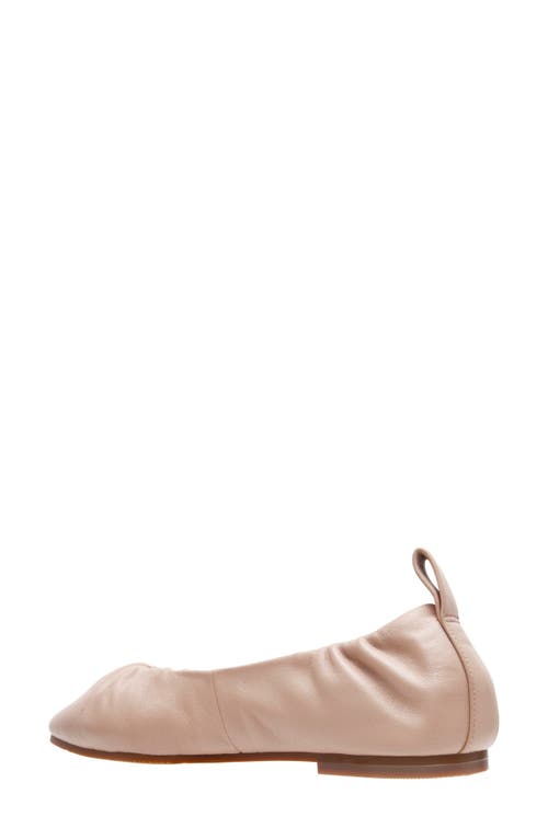 Linea Paolo Newry Ballet Flat In Neutral