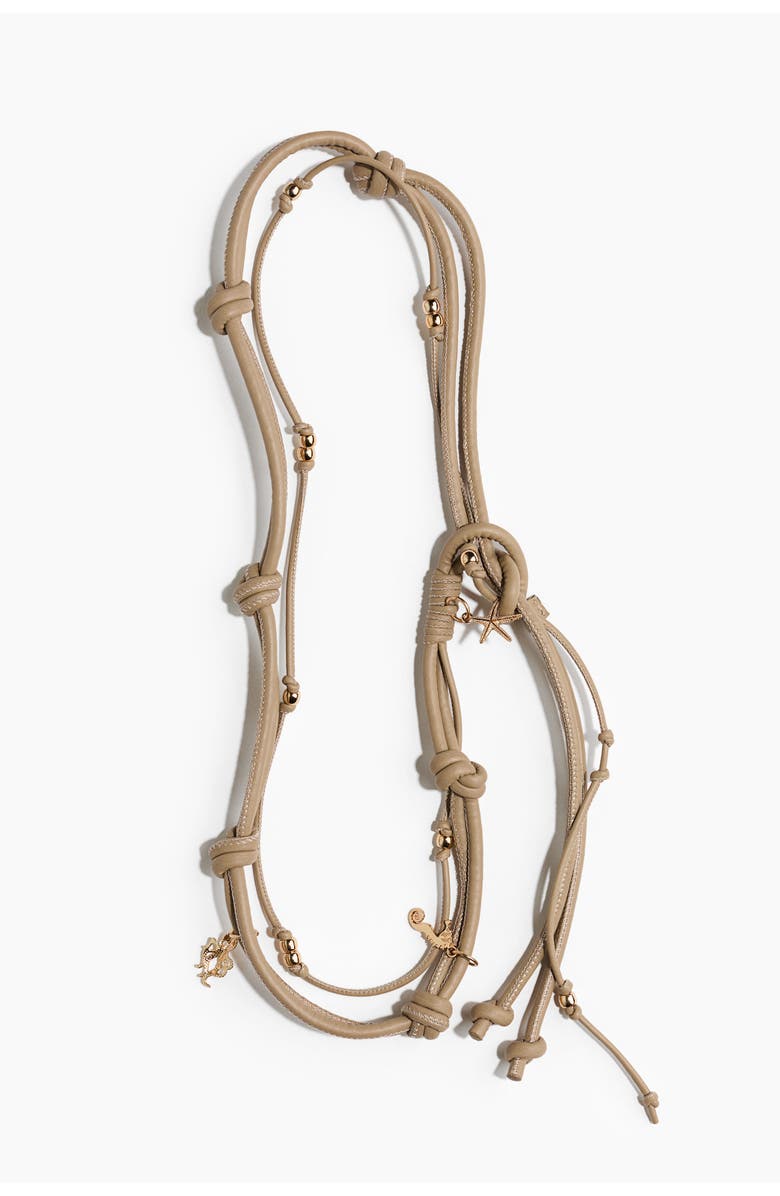 H&M Embellished Cord Belt, Main, color, Brown/Dark Blue