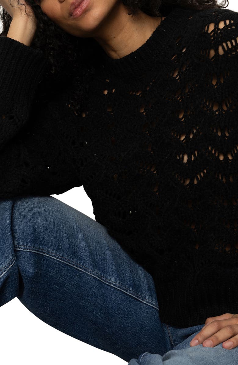 Sanctuary Boheme Open Stitch Sweater, Alternate, color, Black