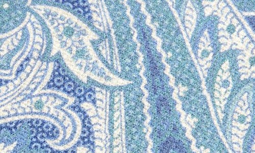 David Donahue Paisley Silk Tie In Blue