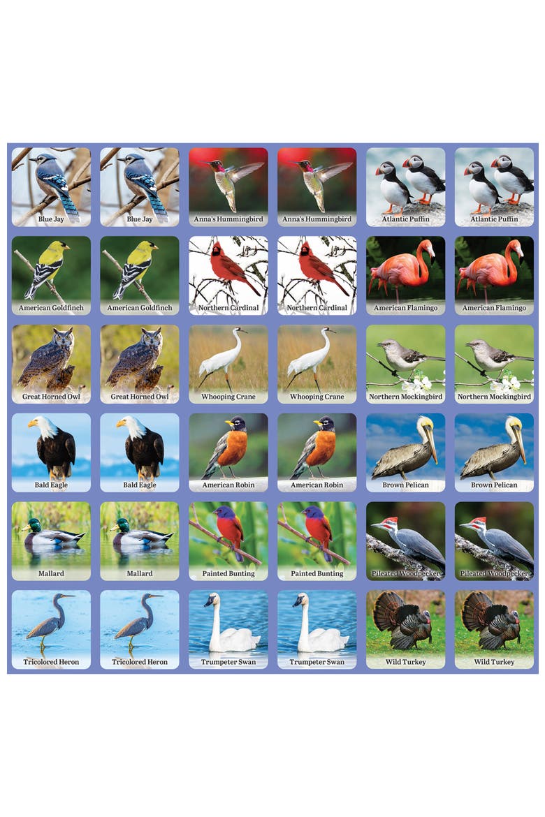 Audubon - Bird Matching Game, Alternate, color, Multicolor