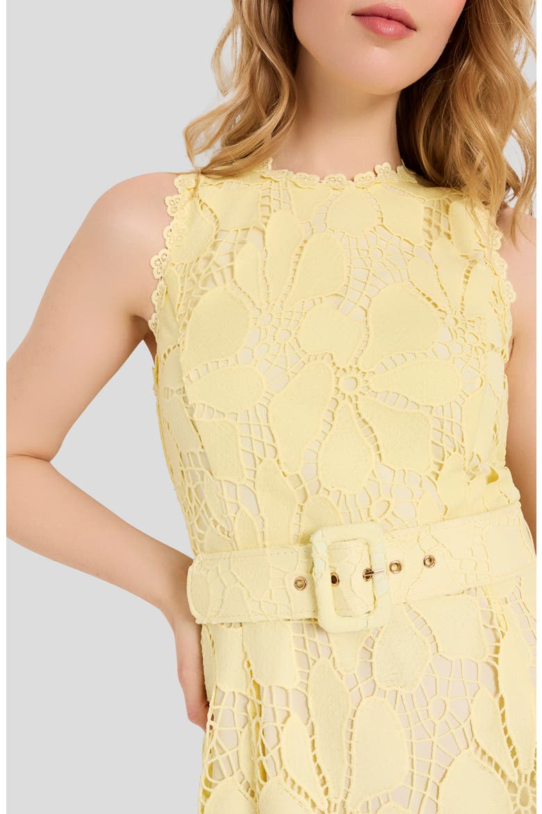 Sleeveless Belted Fit & Flare Dress, Alternate, color, BUTTERCUP