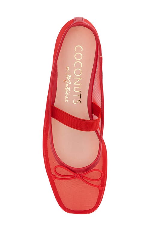 COCONUTS BY MATISSE COCONUTS BY MATISSE BRONX MESH BALLERINA FLAT
