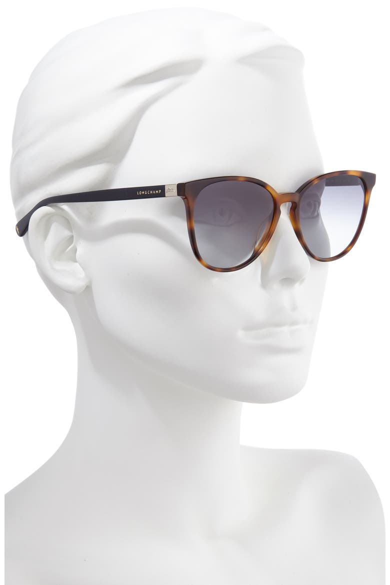 Le Pliage 53mm Gradient Cat Eye Sunglasses, Alternate, color, HAVANA/BLUE