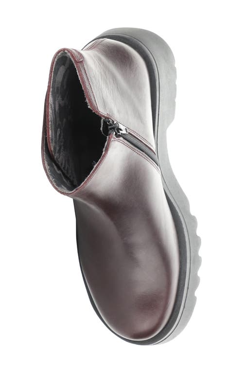 Fly London Mufe Wine Leather Low Shalf Ankle Boots In Burgundy