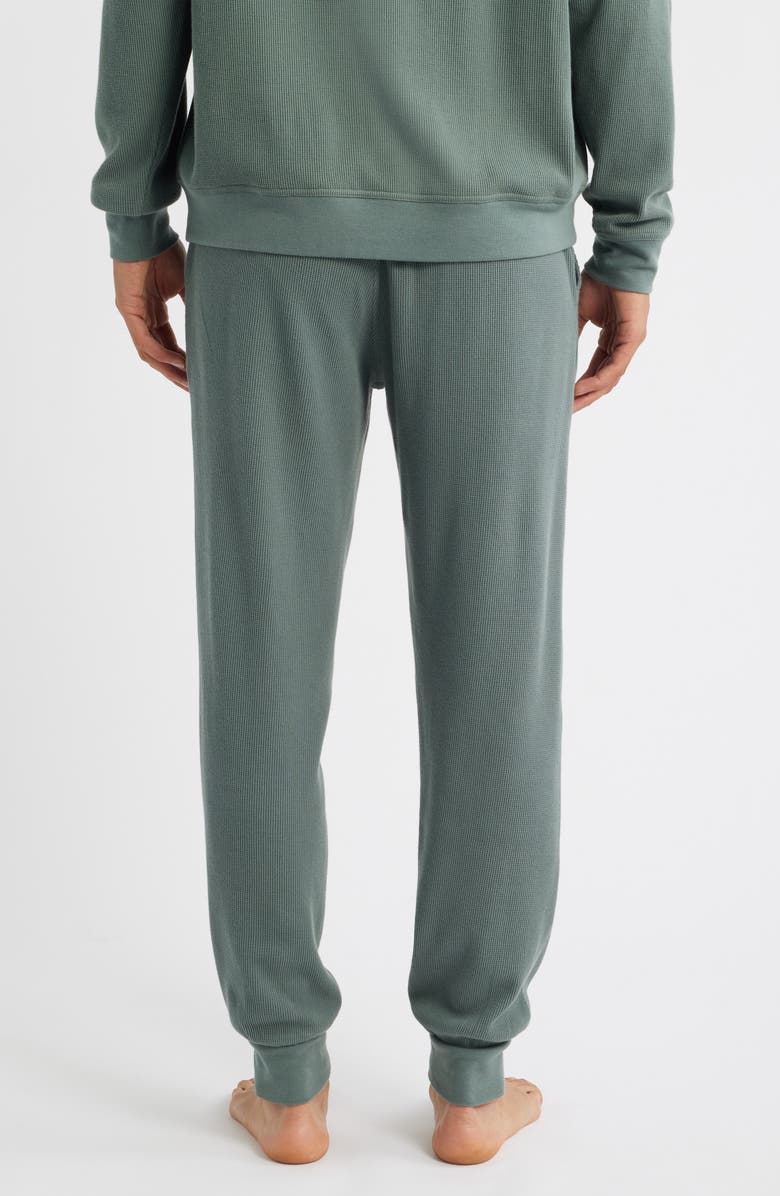 Nordstrom Thermal Lounge Joggers, Alternate, color, Green Balsam