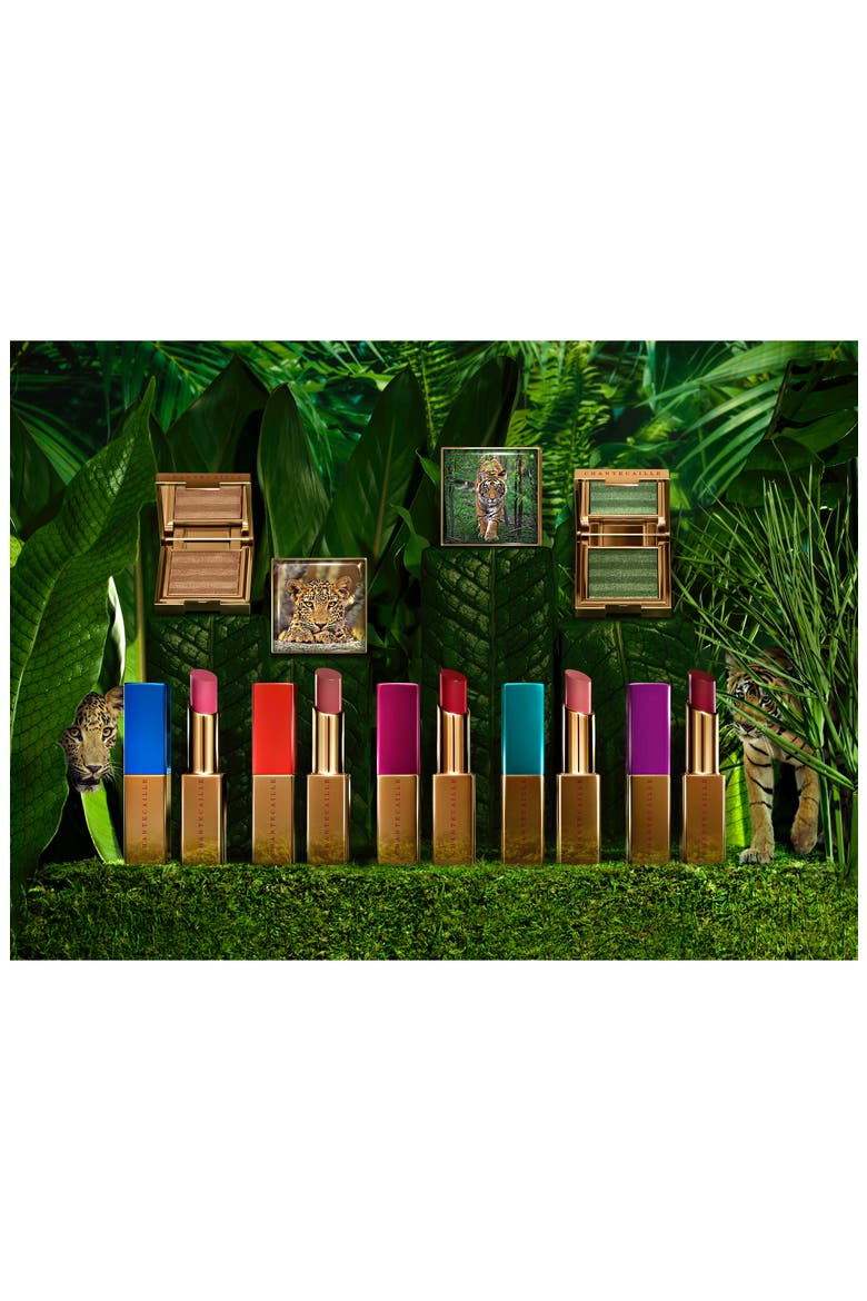 Luminescent Eye Shade Eyeshadow, Alternate, color, LEOPARD