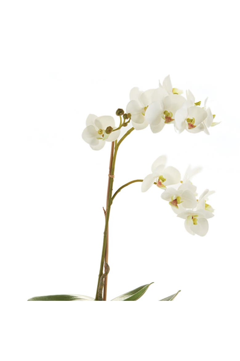 Phalaenopsis Orchid Faux (Fake) Drop-In 17", Alternate, color, White