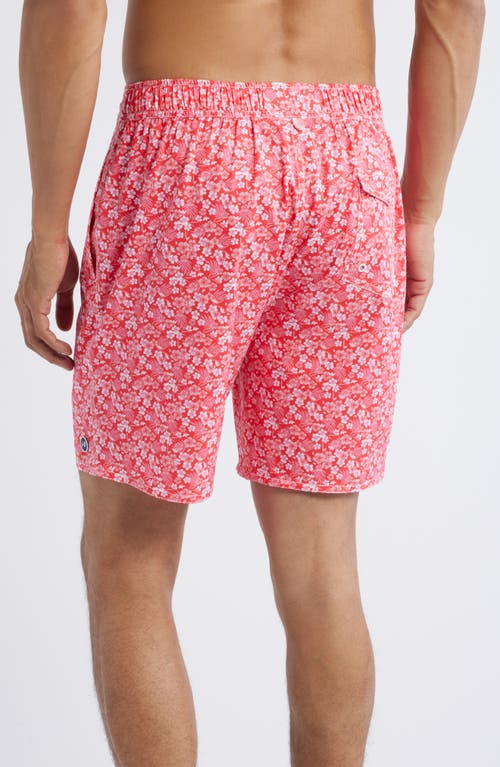 Johnnie-o Lei Swim Trunks In Rouge Red