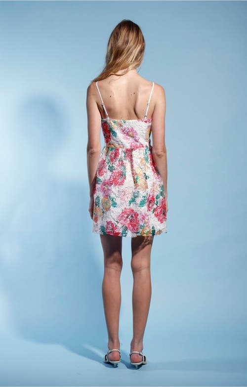Shop Walter Baker Vanessa Dress In Gardenia Lace