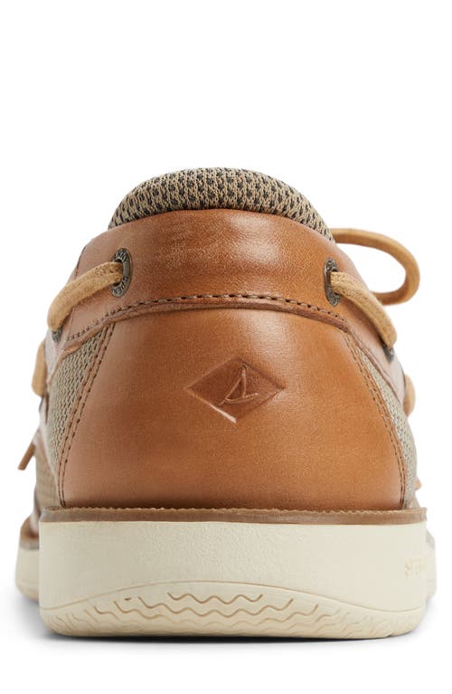 Sperry Surveyor 2-eye Boat Shoe In Brown