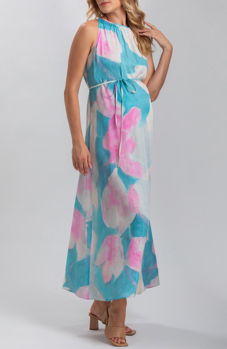 PIETRO BRUNELLI MATERNITY Francesca Floral Maternity Maxi Dress, Alternate, color,