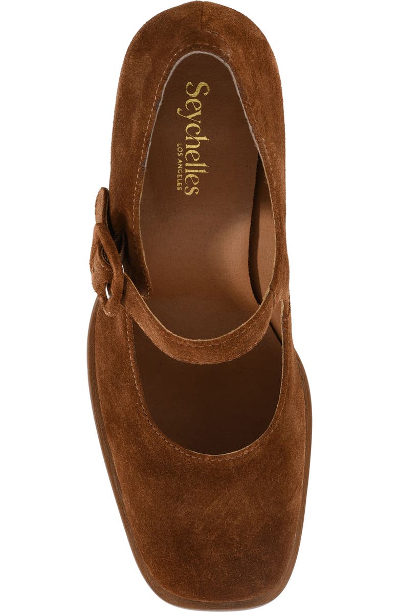 Seychelles Play Pretend Mary Jane Pump, Alternate, color, Brown