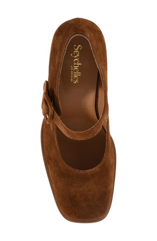 Seychelles Play Pretend Mary Jane Pump In Brown