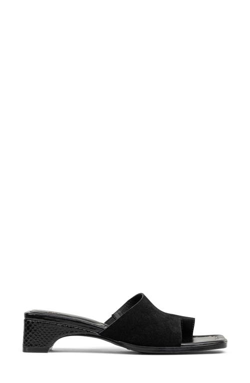 DONALD PLINER DONALD PLINER CASCADE MULE SANDAL