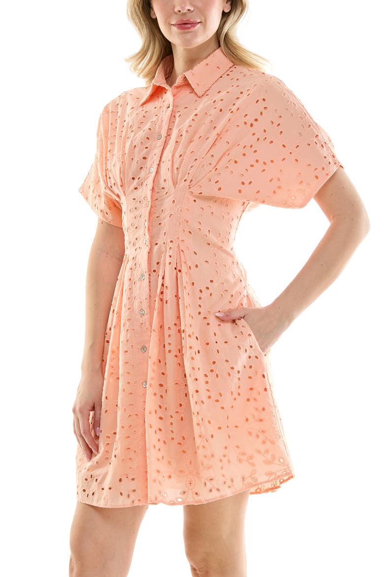 Cotton Broderie Anglaise Mini Shirtdress, Alternate, color, DUSTY PEACH