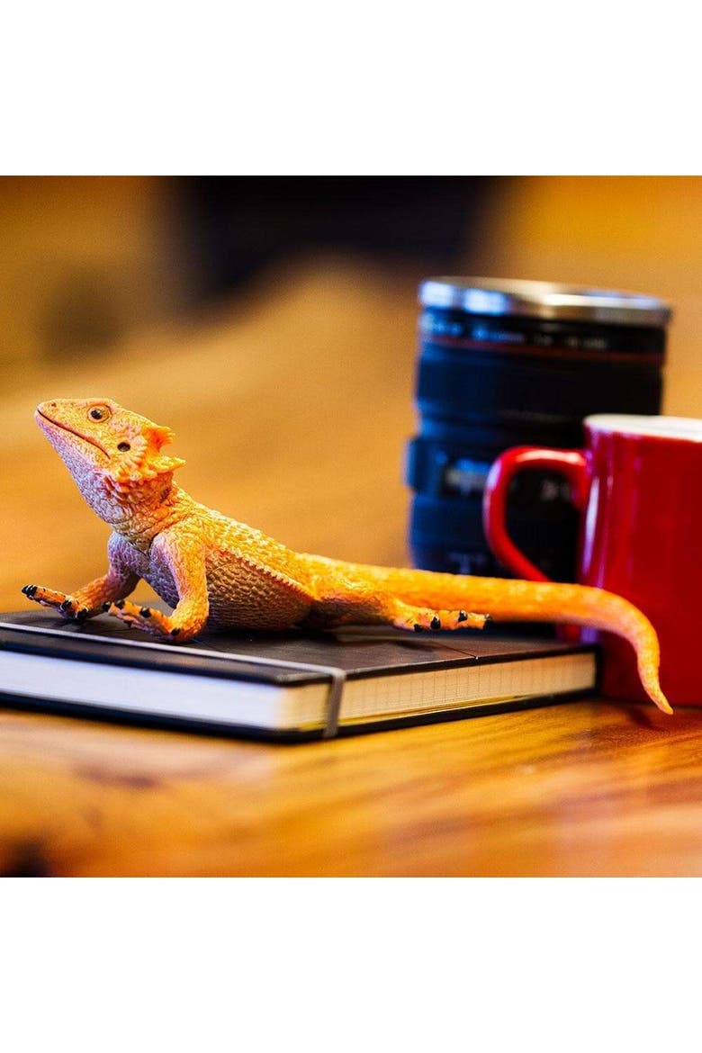 Bearded Dragon Toy, Alternate, color, No Color