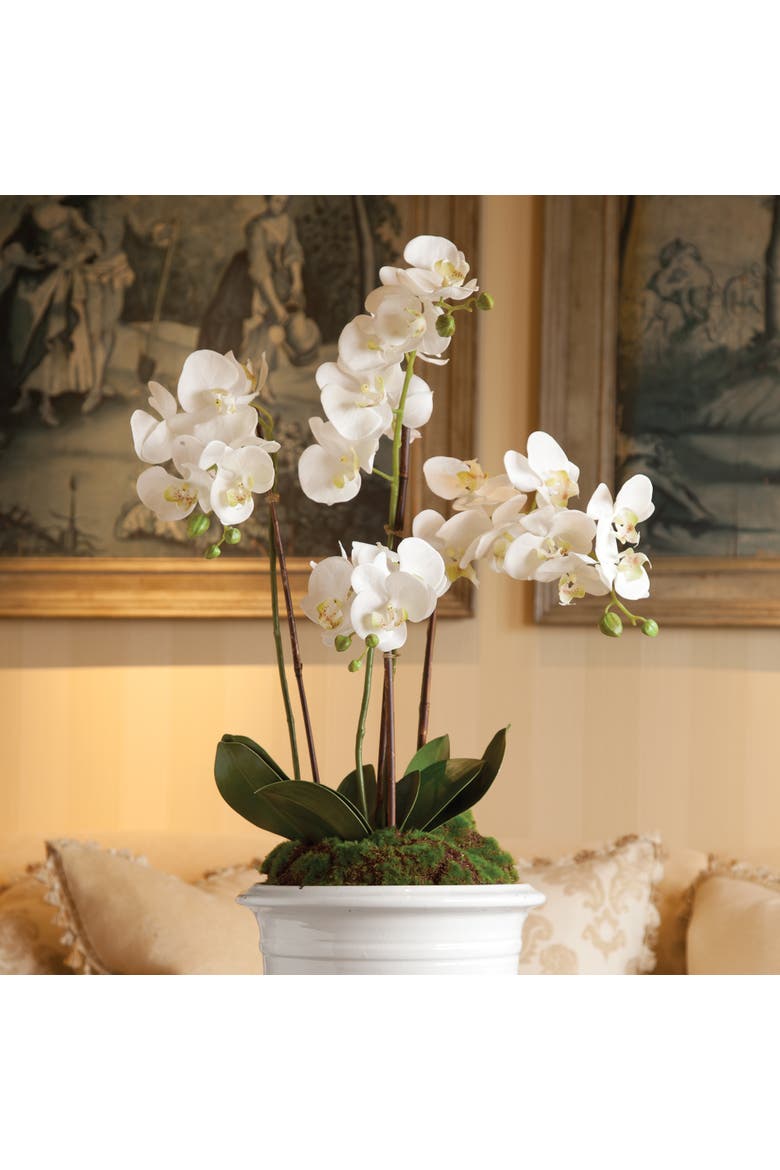 Phalaenopsis Orchid Faux (Fake) Drop-In 30", Alternate, color, White