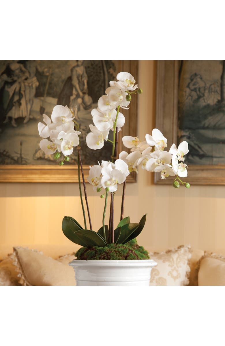 Napa Home & Garden Phalaenopsis Orchid Faux (Fake) Drop-In 30", Alternate, color, White