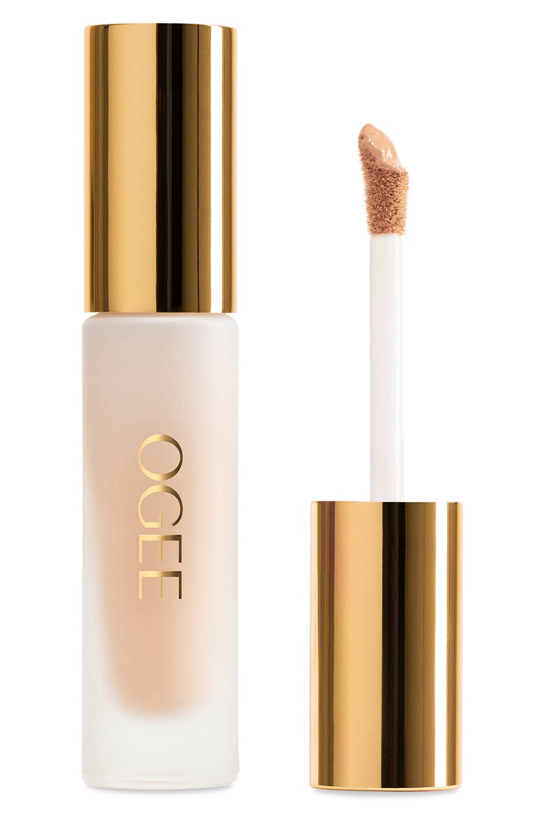 Complexion Perfecting Concealer, Main, color, ALDER