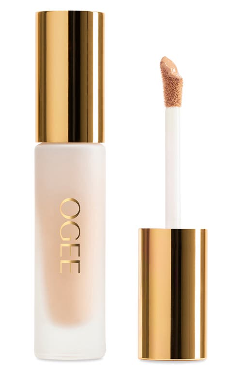Ogee Complexion Perfecting Concealer
