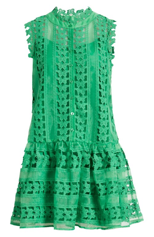 Shop Ciebon Cara Butterfly Lace Shift Dress