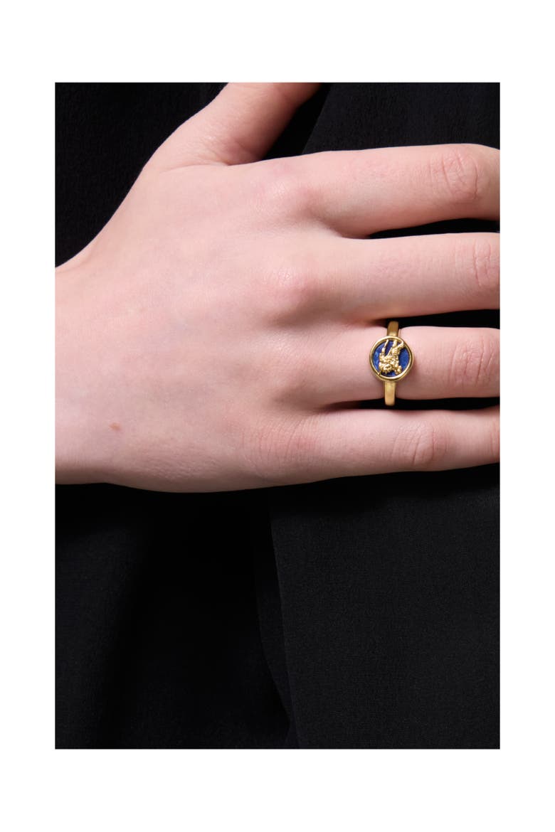 Knight Coin Ring, Alternate, color, Gold/blue