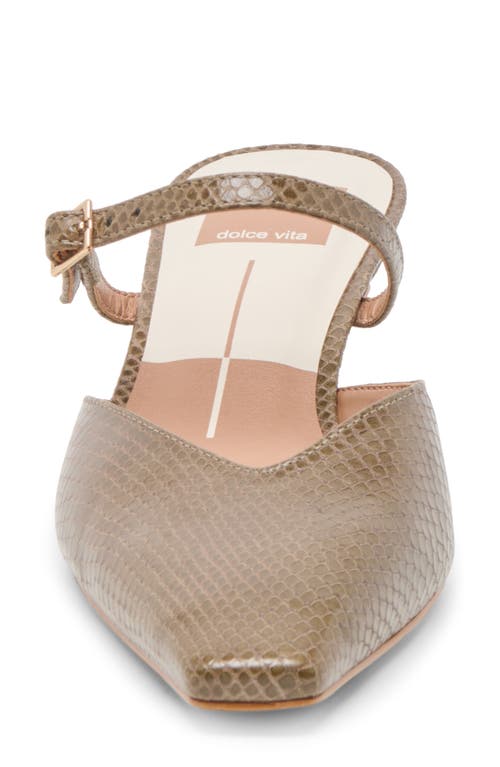 Dolce Vita Morgen Mary Jane Mule In Brown