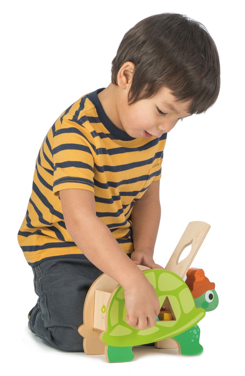 Tender Leaf Toys Tortoise Shape Sorter Toy, Alternate, color, Multi