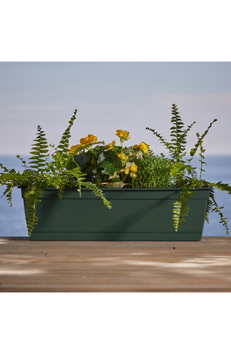 Bloem 24 Inch Dayton Window Box Planter, Turtle Green, Alternate, color, Green