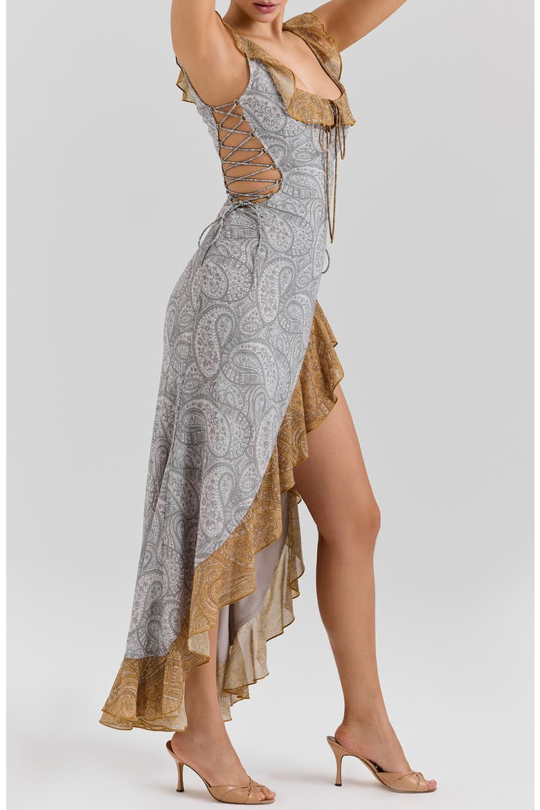 Aloura Georgette Ruffle Dress, Alternate, color, PAISLEY PRINT
