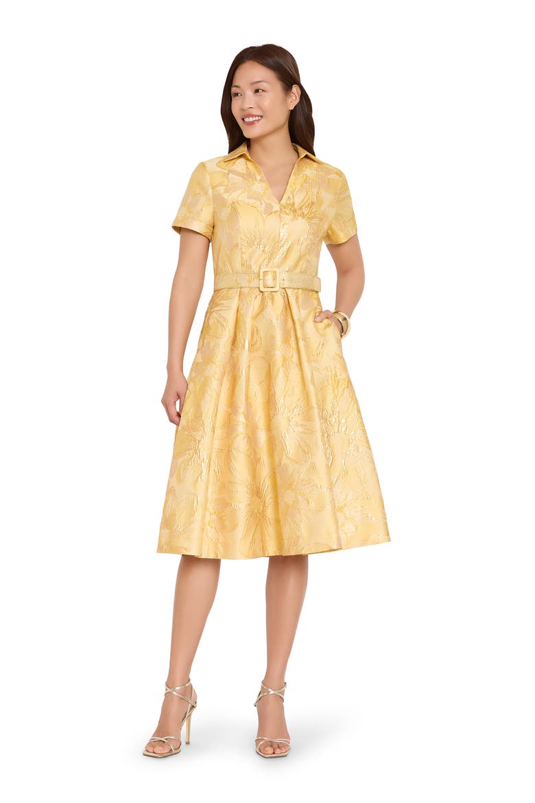 Jacquard Belted Flared Dress, Alternate, color, SUNFLOWERs