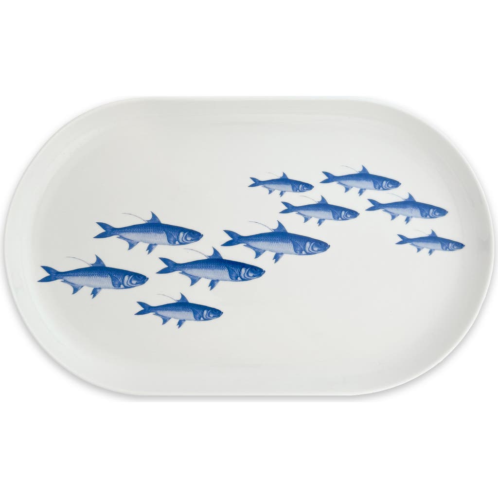 Caskata School Of Fish Large Coupe Oval Platter In Blue