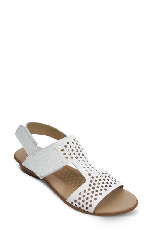 Sesto Meucci Elicia Slingback Sandal In White