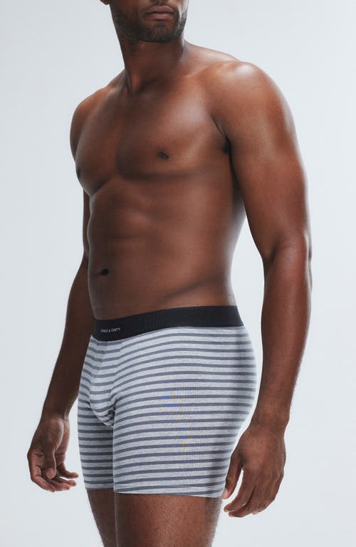 Savage X Fenty Boxer Briefs In Platinum Grey/calm G