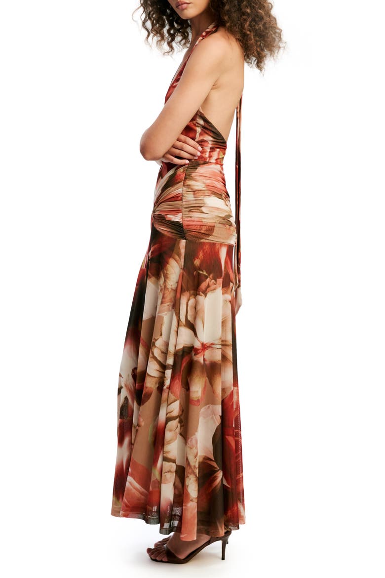 Sariba Halter Neck Mesh Maxi Dress, Alternate, color, BURNT ORANGE FLORAL