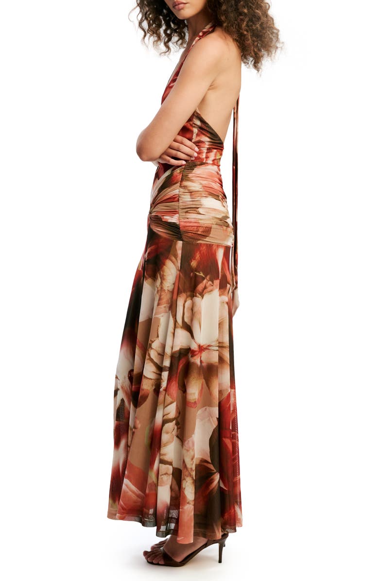 Bardot Sariba Halter Neck Mesh Maxi Dress, Alternate, color, Burnt Orange Floral